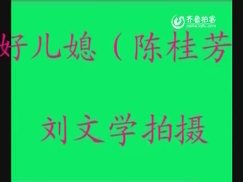 好儿媳（陈桂芳）